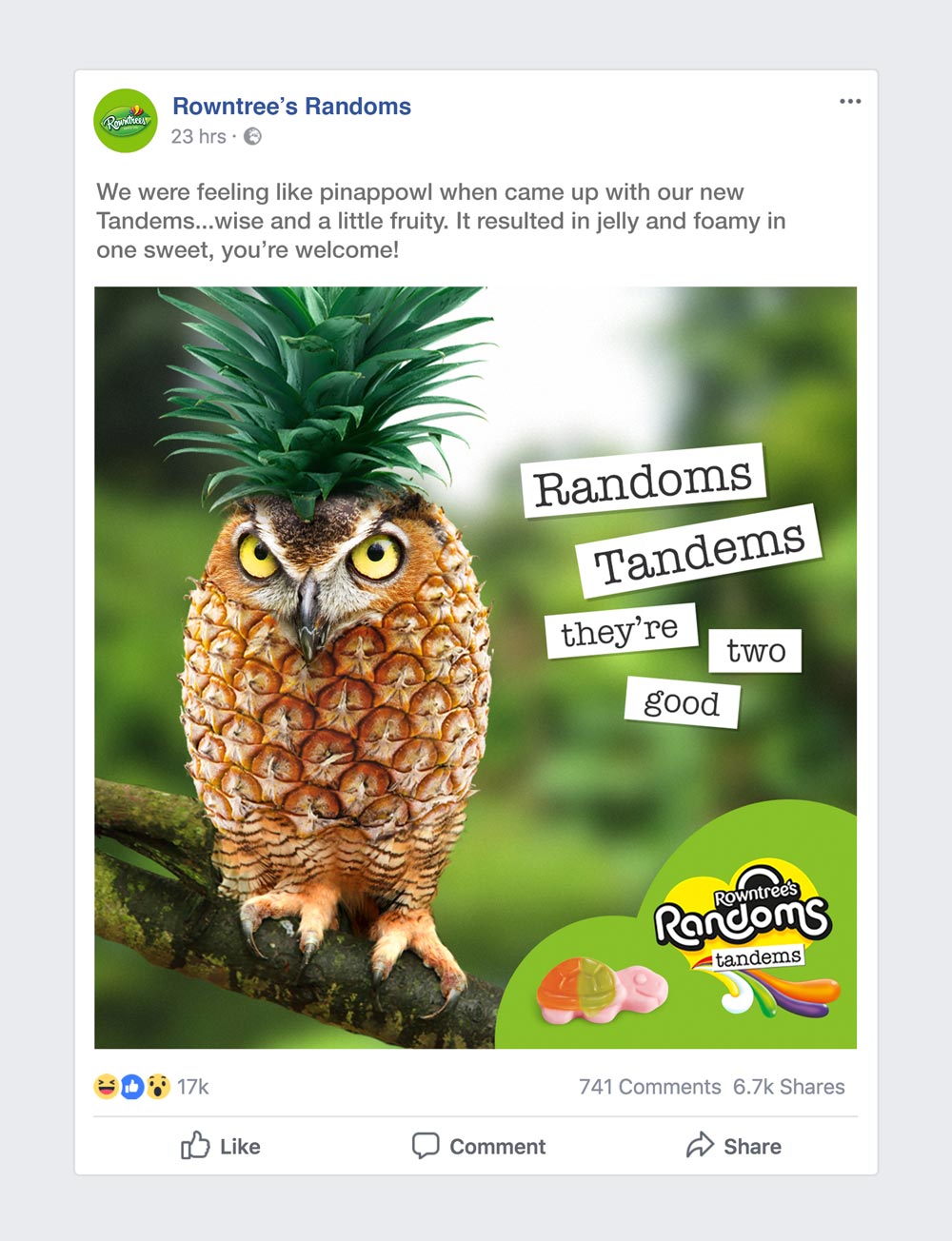 Rowntrees-FB-Post-Owl